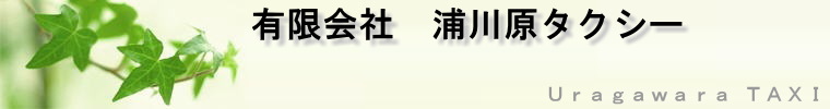 有限会社 浦川原タクシー